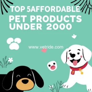 Read more about the article Top 5 Affordable Pet Products Under 2000 for Happy Pets
