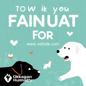 Read more about the article Okanagan Humane Society launches annual campaign to raise funds for animals