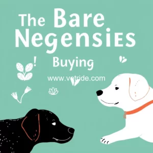Read more about the article The Bare Necessities of Buying Pet Insurance