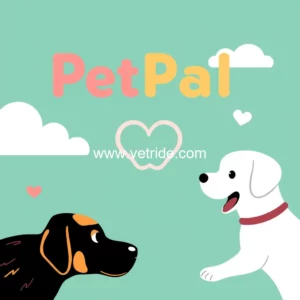 Read more about the article PetPal empowers Filipino vets with EMR Portal