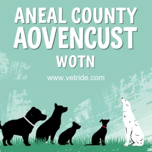 Read more about the article Animal Advocates to meet with Taylor County Commission to push for change