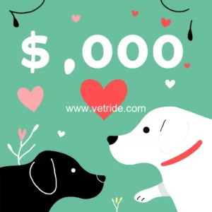 Read more about the article FinTech for Pet Care : Kennel Connection Donates 5  000 to RedRover for Giving Tuesday  Impact Doubled to 10  000
