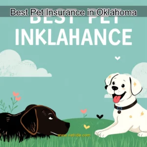 Read more about the article Best Pet Insurance in Oklahoma