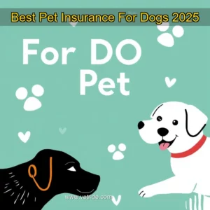 Read more about the article Best Pet Insurance For Dogs 2025