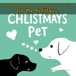 Read more about the article Thoughtful pet adoption: san antonio’s call to action for the holidays.