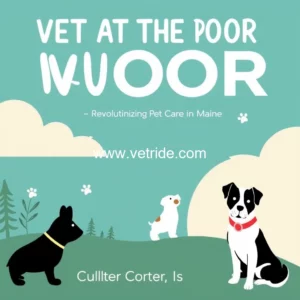 Read more about the article Vet At Your Door : Revolutionizing Pet Care in Maine