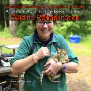 Read more about the article Greenfield Recorder  Up to 50 critters at a time : Amelie Dricut  Ziter runs the Leyden Center for Wildlife Rehabilitation
