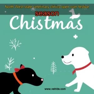 Read more about the article North West state veterinary clinics open over festive season