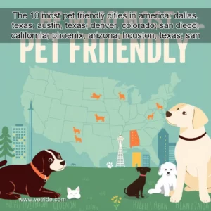 Read more about the article The 10 most pet friendly cities in america: dallas, texas; austin, texas; denver, colorado; san diego, california; phoenix, arizona; houston, texas; san jose, california; las vegas, nevada; seattle, washington; and portland, oregon.
