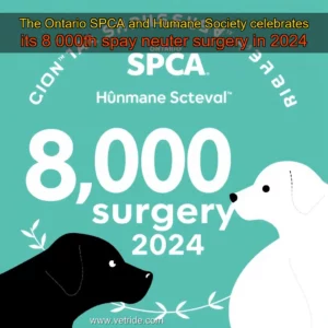 Read more about the article The Ontario SPCA and Humane Society celebrates its 8  000th spay  neuter surgery in 2024