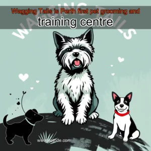 Read more about the article Wagging Tails is Perth first pet grooming and training centre