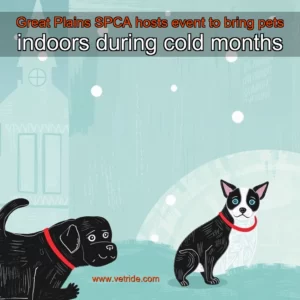 Read more about the article Great Plains SPCA hosts event to bring pets indoors during cold months