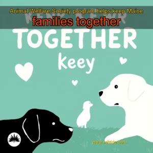 Read more about the article Animal Welfare Society program helps keep Maine families together