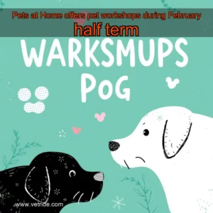 Read more about the article Pets at Home offers pet workshops during February half term