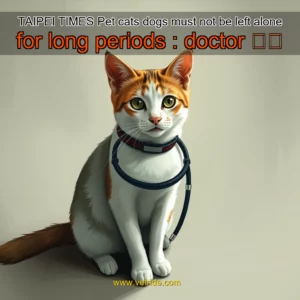Read more about the article TAIPEI TIMES  Pet cats  dogs must not be left alone for long periods : doctor  焦點