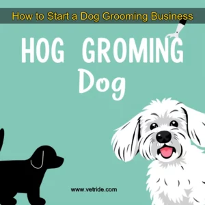 Read more about the article How to Start a Dog Grooming Business