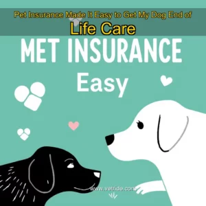 Read more about the article Pet Insurance Made It Easy to Get My Dog End  of  Life Care
