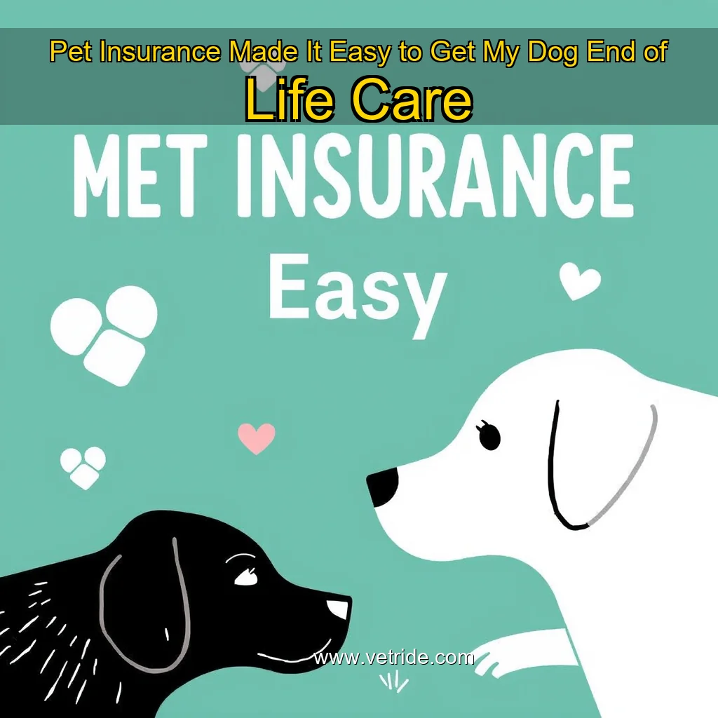 Read more about the article Pet Insurance Made It Easy to Get My Dog End  of  Life Care