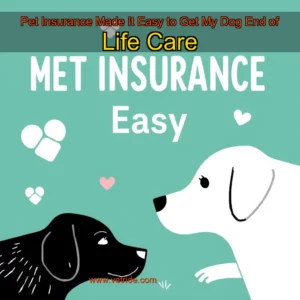 Read more about the article Pet Insurance Made It Easy to Get My Dog End  of  Life Care