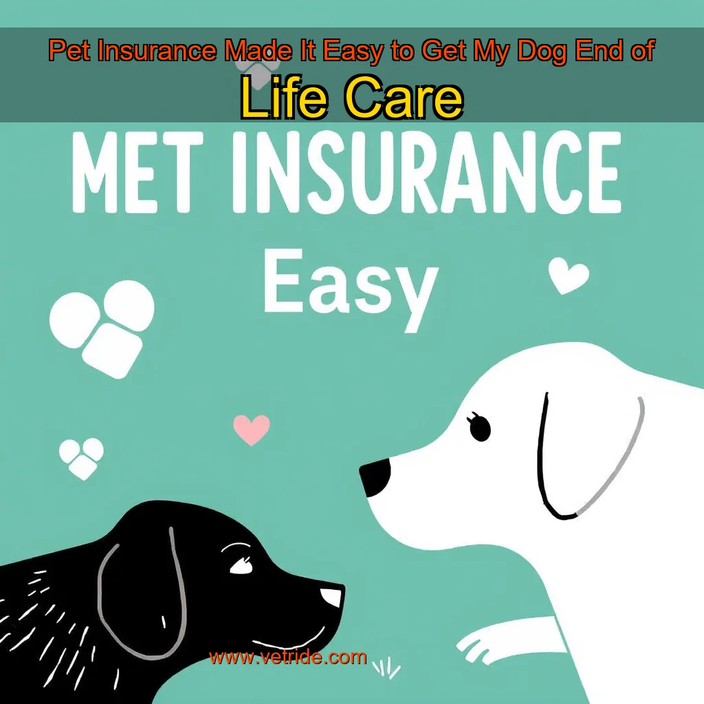 You are currently viewing Pet Insurance Made It Easy to Get My Dog End  of  Life Care