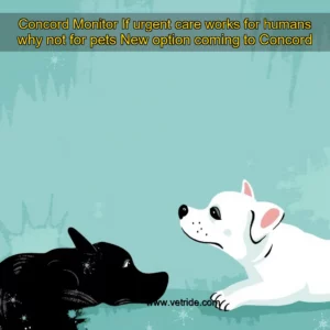 Read more about the article Concord Monitor  If urgent care works for humans  why not for pets  New option coming to Concord