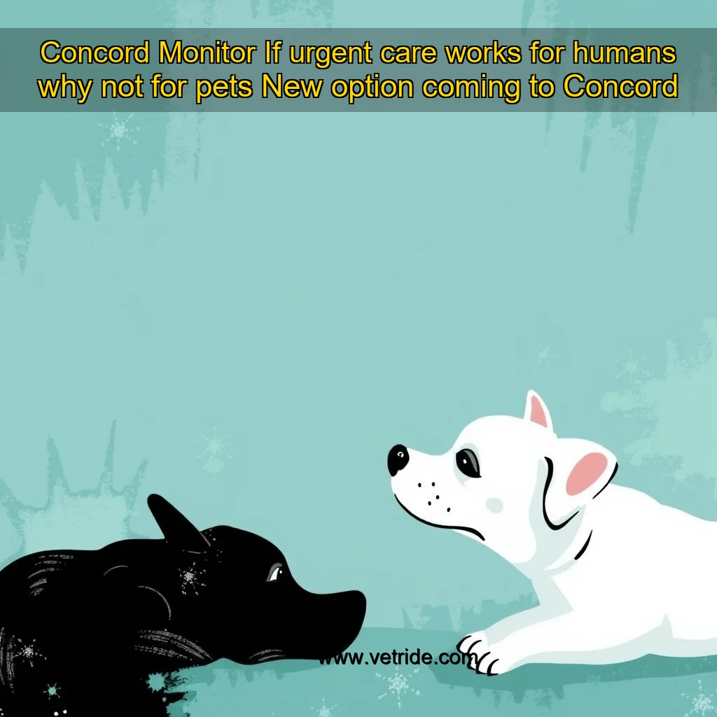 Read more about the article Concord Monitor  If urgent care works for humans  why not for pets  New option coming to Concord