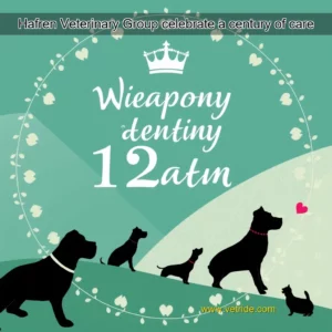 Read more about the article Hafren Veterinary Group celebrate a century of care