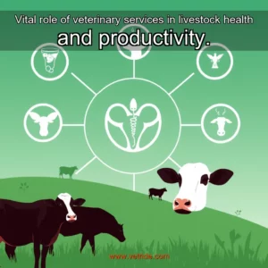 Read more about the article Vital role of veterinary services in livestock health and productivity.