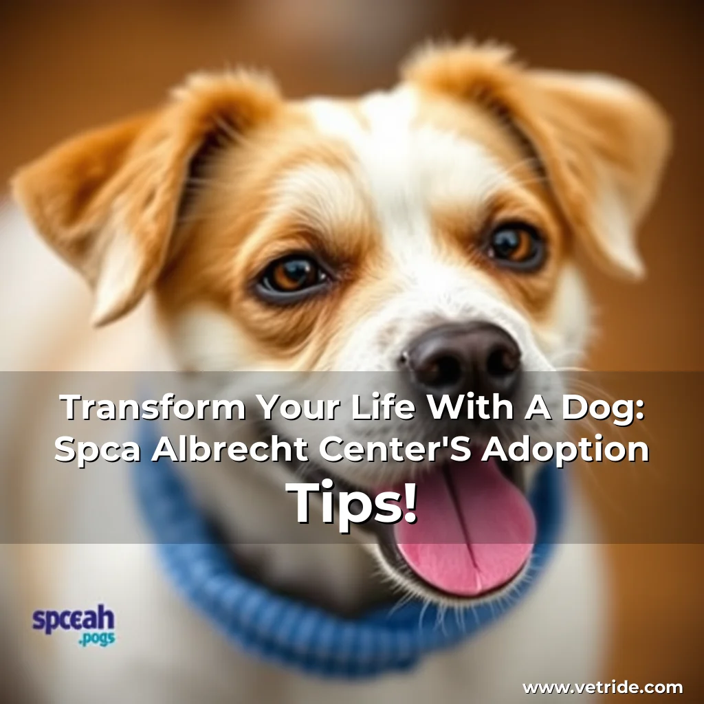 Read more about the article Transform Your Life With A Dog: Spca Albrecht Center’S Adoption Tips!