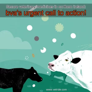 Read more about the article Secure veterinary medicines in northern ireland: bva’s urgent call to action!