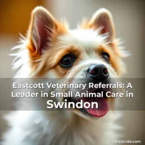 Read more about the article Eastcott Veterinary Referrals: A Leader in Small Animal Care in Swindon