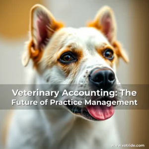 Read more about the article Veterinary Accounting: The Future of Practice Management