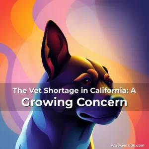 Read more about the article The Vet Shortage in California: A Growing Concern